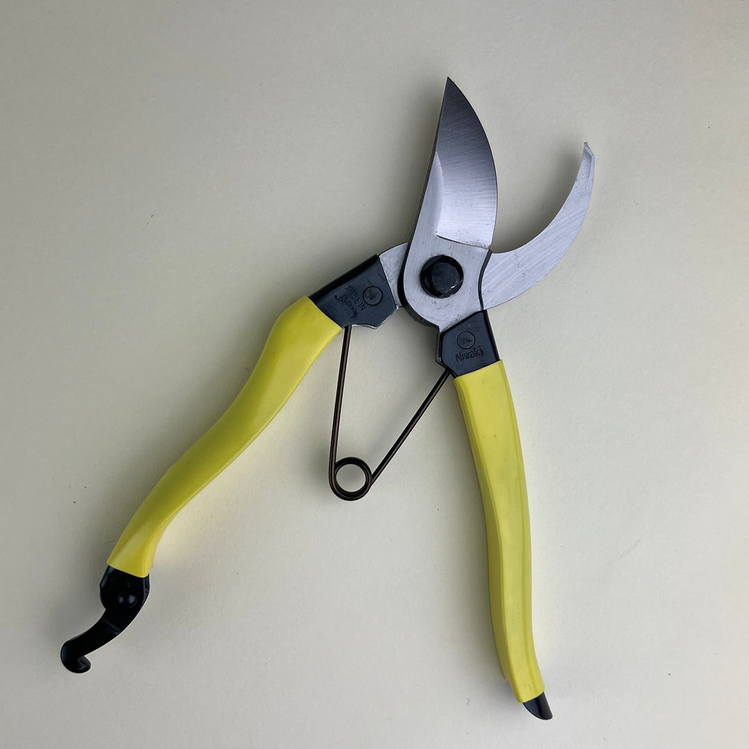 Niwaki -  Mainichi Secateurs