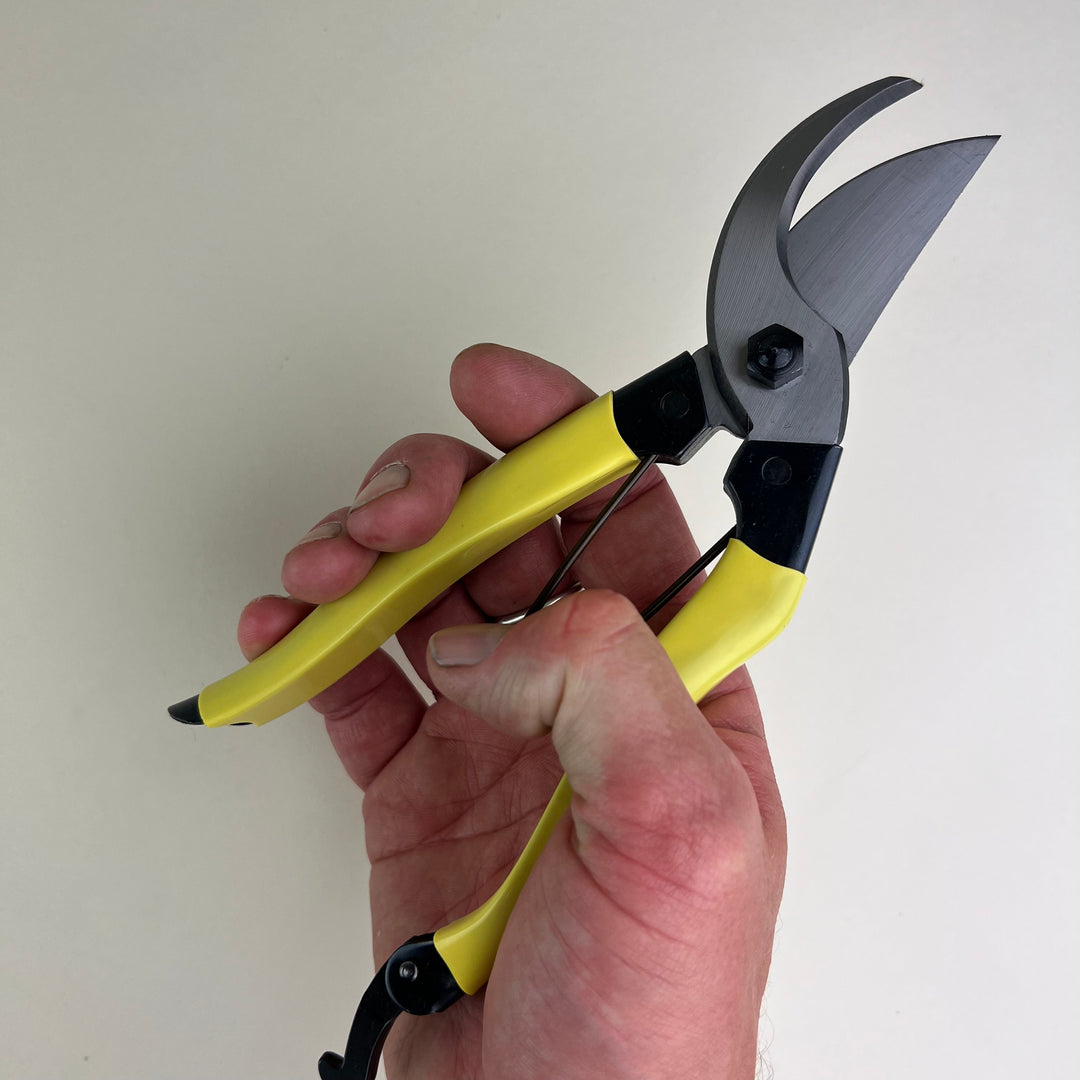 Niwaki -  Mainichi Secateurs